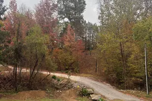 2877 Shannon St, Sharon, SC 29742 - Photo 28