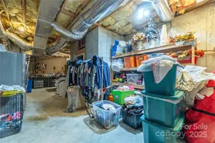 19002 Meta Rd, Cornelius, NC 28031 - Photo 38