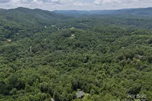 23 Jay Foster Way, Saluda, NC 28773 - Photo 40