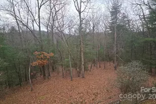 23 Jay Foster Way, Saluda, NC 28773 - Photo 24