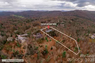135 Poplar Loop, Flat Rock, NC 28731 - Photo 48