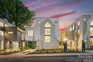 719 Charles Ave, Charlotte, NC 28205 - Photo 40