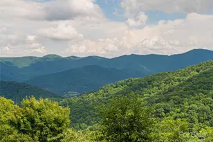 130 Blf Crk Ter, Candler, NC 28715 - Photo 4