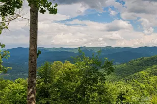 130 Blf Crk Ter, Candler, NC 28715 - Photo 28