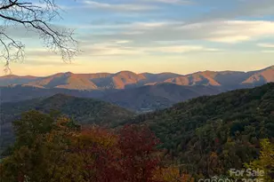 130 Blf Crk Ter, Candler, NC 28715 - Photo 46