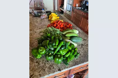 130 Bluff Creek Terrace, Candler, NC 28715 - Photo 42