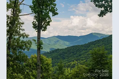 130 Bluff Creek Terrace, Candler, NC 28715 - Photo 22