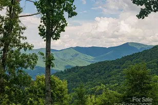 130 Blf Crk Ter, Candler, NC 28715 - Photo 22