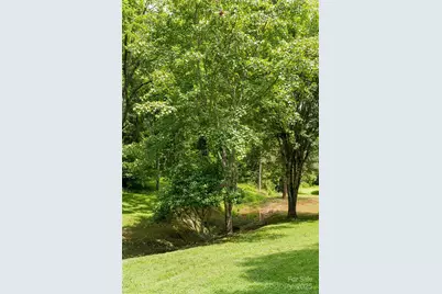 25 Elkins Branch Road, Weaverville, NC 28787 - Photo 32