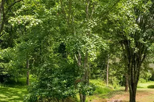 25 Elkins Branch Rd, Weaverville, NC 28787 - Photo 32