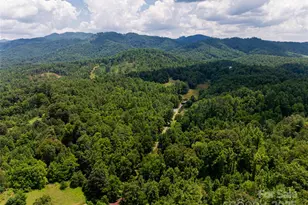 25 Elkins Branch Rd, Weaverville, NC 28787 - Photo 48