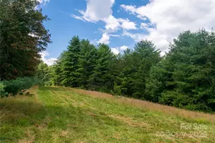 25 Elkins Branch Rd, Weaverville, NC 28787 - Photo 26