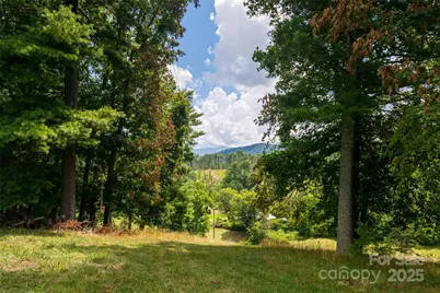 25 Elkins Branch Road, Weaverville, NC 28787 - Photo 22