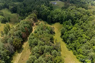 25 Elkins Branch Rd, Weaverville, NC 28787 - Photo 46