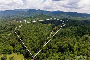 25 Elkins Branch Rd, Weaverville, NC 28787 - Photo 40