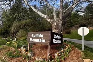 212 Blue Ridge Vista, Asheville, NC 28805 - Photo 8