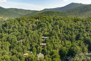 212 Blue Ridge Vista, Asheville, NC 28805 - Photo 34