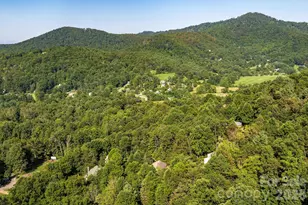 212 Blue Ridge Vista, Asheville, NC 28805 - Photo 34