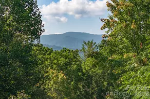 212 Blue Ridge Vista, Asheville, NC 28805 - Photo 6
