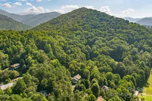 212 Blue Ridge Vista, Asheville, NC 28805 - Photo 30