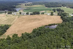 1497 White Store Rd, Pageland, SC 29728 - Photo 4