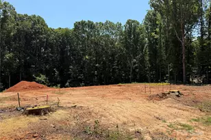 219 Barra Dr, Waxhaw, NC 28173 - Photo 26