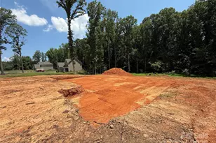 219 Barra Dr, Waxhaw, NC 28173 - Photo 24