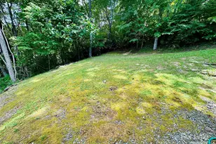 236 Valley View Dr, Topton, NC 28781 - Photo 24