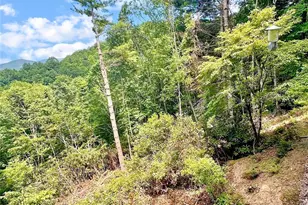 236 Valley View Dr, Topton, NC 28781 - Photo 26