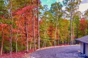 151 Unoga Ct, Brevard, NC 28712 - Photo 38