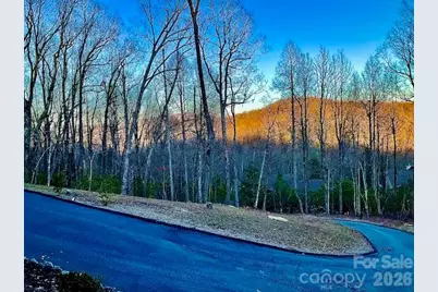 151 Unoga Court, Brevard, NC 28712 - Photo 6