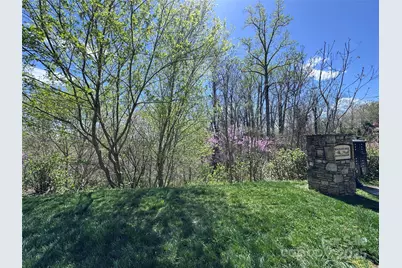 44 Samuel Ashe Drive #55, Asheville, NC 28805 - Photo 8