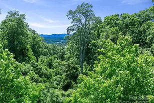 44 Samuel Ashe Dr, Asheville, NC 28805 - Photo 22