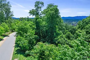 44 Samuel Ashe Dr, Asheville, NC 28805 - Photo 16