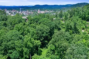 44 Samuel Ashe Dr, Asheville, NC 28805 - Photo 24