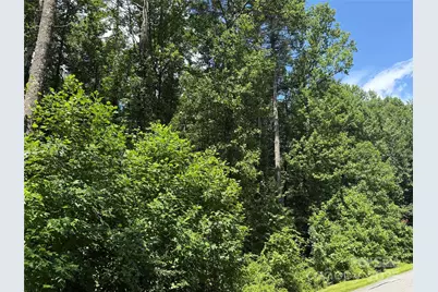 Lot 37 Mountain Brook Trail #37, Brevard, NC 28712 - Photo 4