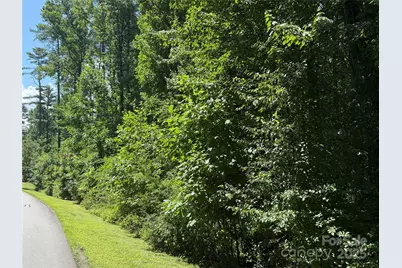 Lot 37 Mountain Brook Trail #37, Brevard, NC 28712 - Photo 8