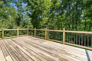 946 Turkey Pen Gap Rd, Horse Shoe, NC 28742 - Photo 6