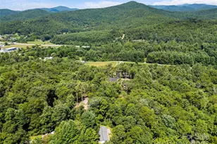 946 Turkey Pen Gap Rd, Horse Shoe, NC 28742 - Photo 28