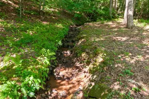 250 Turkey Pen Rd, Franklin, NC 28734 - Photo 26