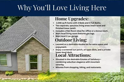 701 Salisbury Road, Hendersonville, NC 28792 - Photo 4