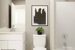 10036 Greystar Ln, Charlotte, NC 28213 - Photo 14