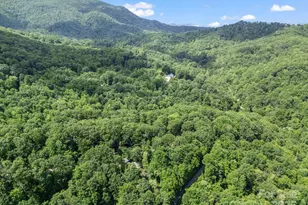 150 Marcellina Dr, Fairview, NC 28730 - Photo 2