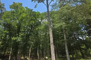 2150 Pressley Rd, Chester, SC 29706 - Photo 14