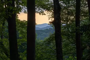 1065 Oak Rdg Ln, Mars Hill, NC 28754 - Photo 36