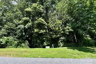 35 Ladys Fern Trail, Hendersonville, NC 28739 - Photo 1