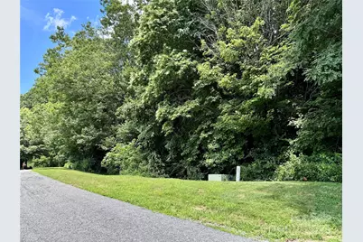 35 Ladys Fern Trail, Hendersonville, NC 28739 - Photo 2