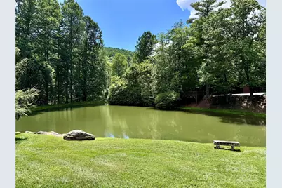 35 Ladys Fern Trail, Hendersonville, NC 28739 - Photo 10