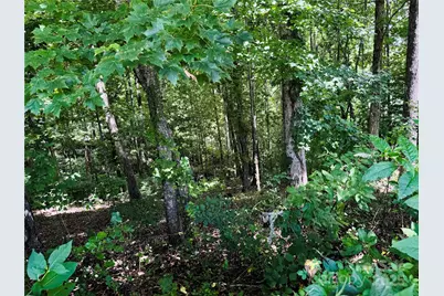 35 Ladys Fern Trail, Hendersonville, NC 28739 - Photo 6