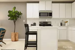 10048 Greystar Ln, Charlotte, NC 28213 - Photo 4